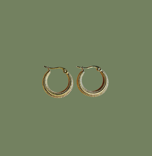 Earrings for Love