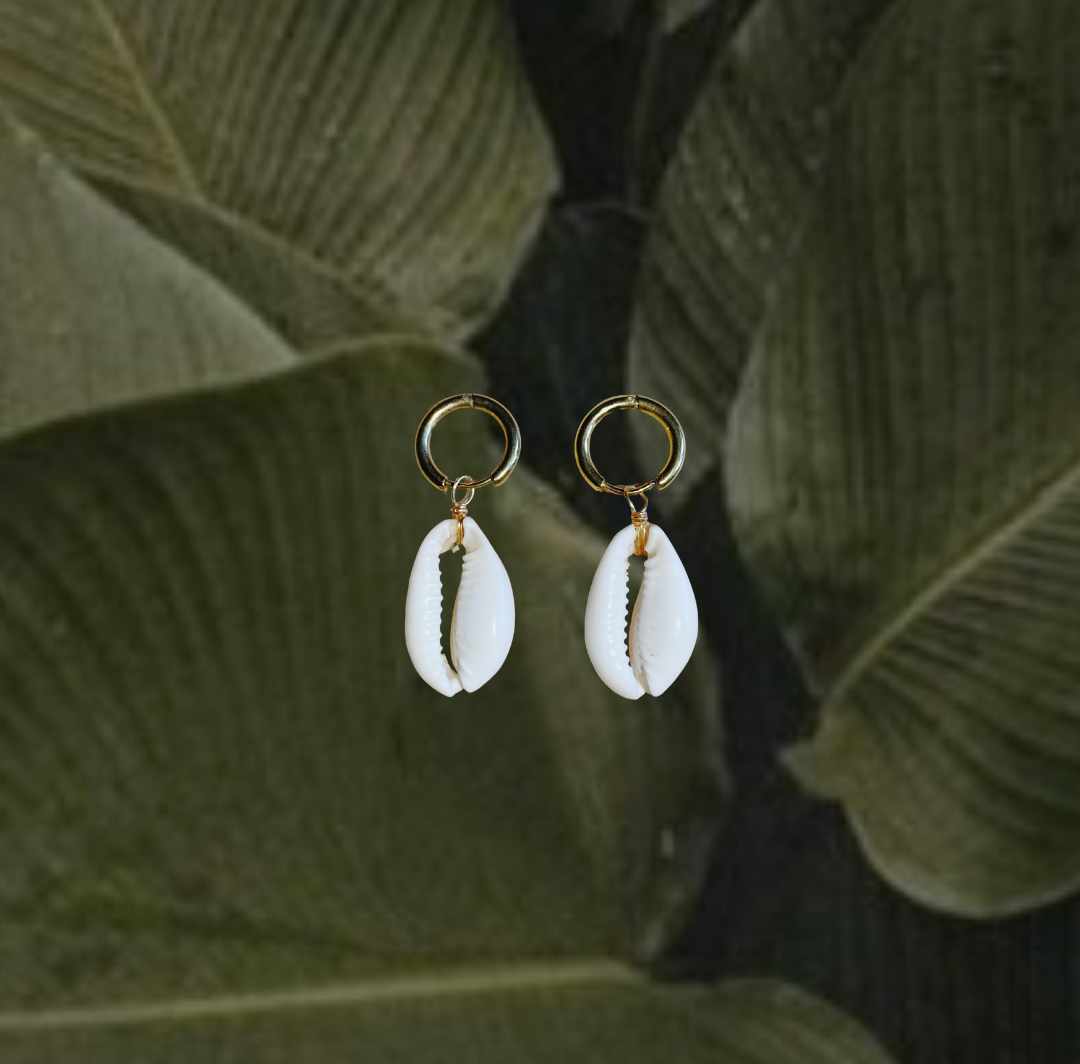 Shells for protection